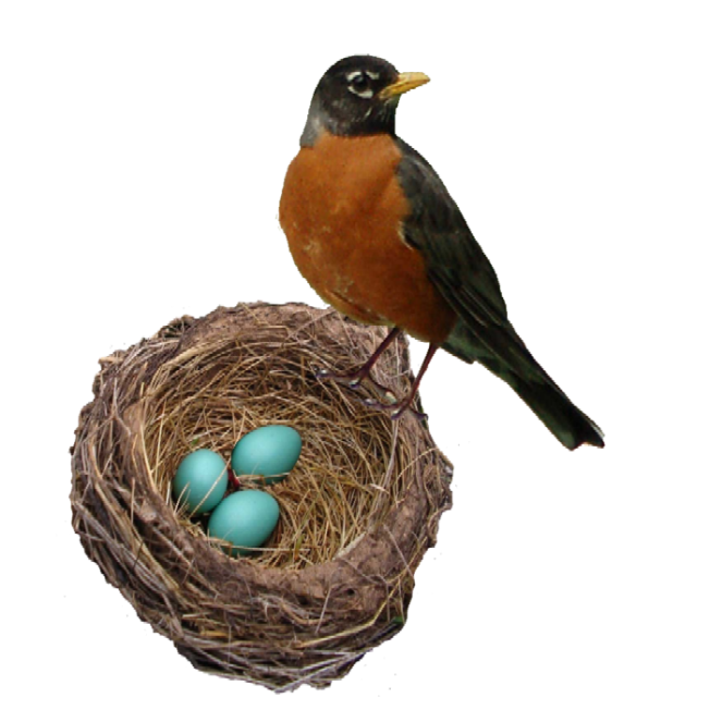 robins-nest-web-1